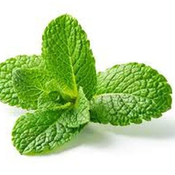 Daun Mint