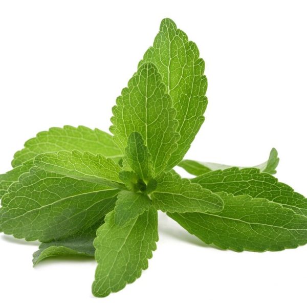 Daun Stevia